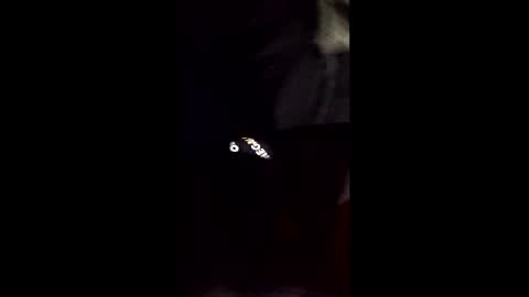 cory58596 online show from February 2026 08:33:01 AM