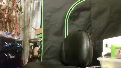 Snapshot of crackback_kyd chatting on February 2026 12:02:02 PM crackback_kyd online show from February 2026 12:02:02 PM