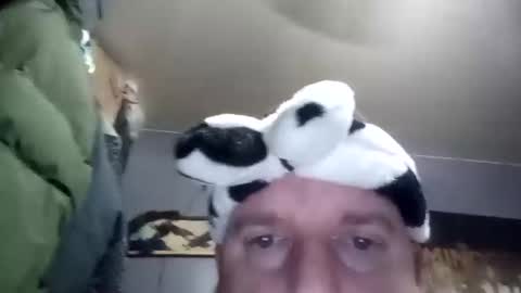 creampie315 online show from January 2025 01:38:01 AM