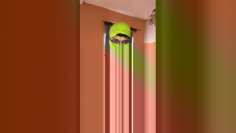 cris_darkness online show from June 2026 02:50:01 PM