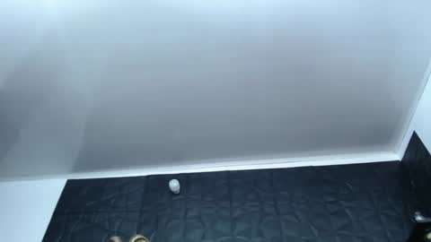 Snapshot of cristal_smith06 chatting on December 2024 10:12:02 AM Hanna online show from December 2024 10:12:02 AM