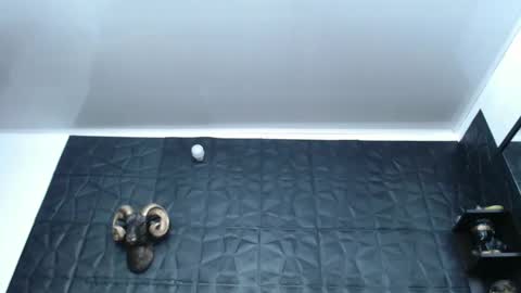 Snapshot of cristal_smith06 chatting on February 2025 04:54:01 AM Hanna online show from February 2025 04:54:01 AM