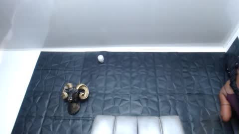 Snapshot of cristal_smith06 chatting on October 2025 11:27:01 AM Hanna online show from October 2025 11:27:01 AM