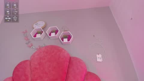 Nicole  Connection time 220pm-910pmCol online show from January 2025 01:48:02 AM