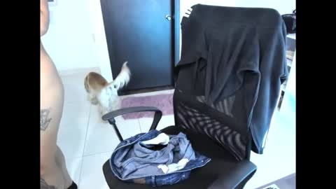 Snapshot of cristinasweet7 chatting on November 2025 03:32:02 AM cristinasweet7 online show from November 2025 03:32:02 AM