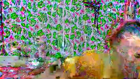 Snapshot of cristine316 chatting on February 2025 05:19:02 AM cristine316 online show from February 2025 05:19:02 AM