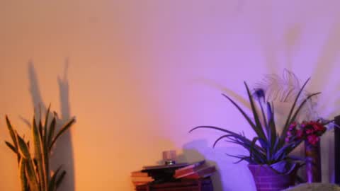 Snapshot of cristopher_069 chatting on February 2025 06:04:02 PM Cristopher online show from February 2025 06:04:02 PM