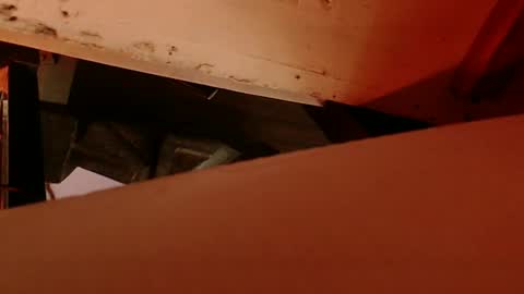 Snapshot of cryan78 chatting on February 2025 08:56:02 AM cryan96 online show from February 2025 08:56:02 AM