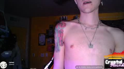 CryptidTwink online show from June 2026 05:58:01 AM