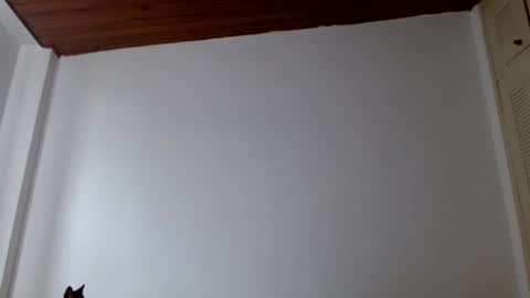 Snapshot of crystal_starx chatting on July 2026 03:49:02 PM Crystal Blaze online show from July 2026 03:49:02 PM
