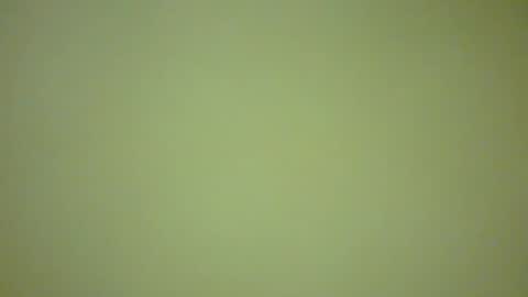 ctbddc online show from February 2025 09:04:02 AM