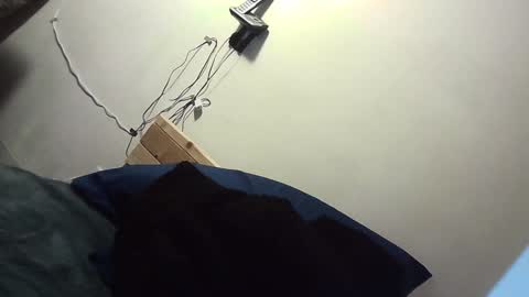 Zelly online show from December 2024 07:31:01 AM