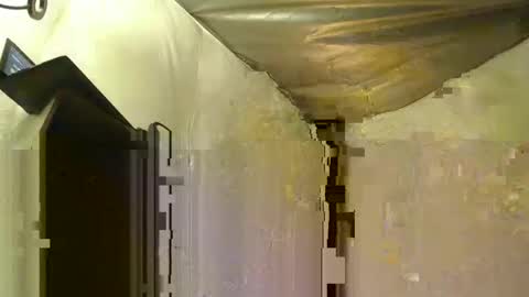 Snapshot of cum4panties1 chatting on April 2026 01:23:01 PM cum4panties1 online show from April 2026 01:23:01 PM