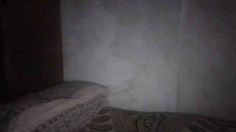 Noha online show from August 2026 08:06:02 AM