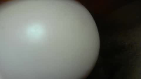 Snapshot of cumdr619 chatting on January 2026 10:23:01 PM cumdr619 online show from January 2026 10:23:01 PM