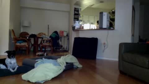 Snapshot of cumfiesta1 chatting on January 2025 04:29:01 PM cumfiesta1 online show from January 2025 04:29:01 PM