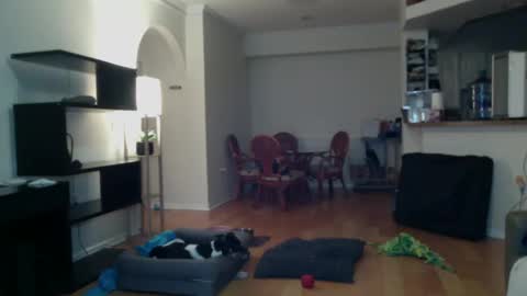 Snapshot of cumfiesta1 chatting on February 2025 04:22:01 PM cumfiesta1 online show from February 2025 04:22:01 PM