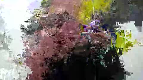 cummwitme211 online show from February 2025 06:42:01 PM