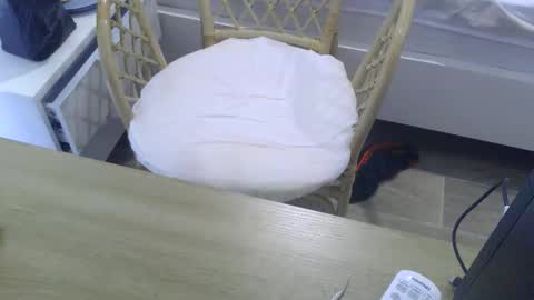 Snapshot of cumnridewa chatting on October 2025 05:04:02 AM cumtowa online show from October 2025 05:04:02 AM