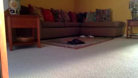 cumonherguys online show from November 2025 08:36:02 AM