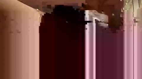 Aprilia online show from February 2025 01:00:02 AM