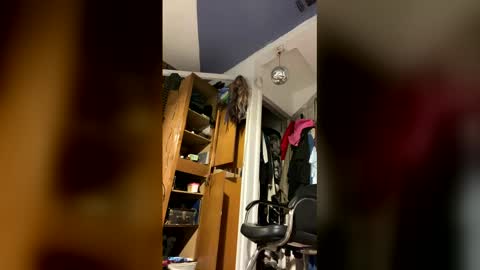 Aprilia online show from February 2026 09:35:01 PM