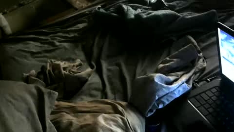 Snapshot of cumwith_me80 chatting on May 2026 07:46:02 AM cumwith_me80 online show from May 2026 07:46:02 AM