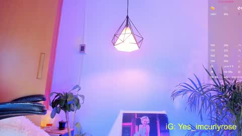 Rose online show from October 2025 10:40:01 PM