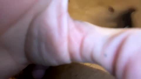 Snapshot of curvy24777 chatting on January 2025 03:50:02 AM curvy24777 online show from January 2025 03:50:02 AM