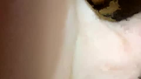 Snapshot of curvy24777 chatting on February 2025 07:06:01 PM curvy24777 online show from February 2025 07:06:01 PM