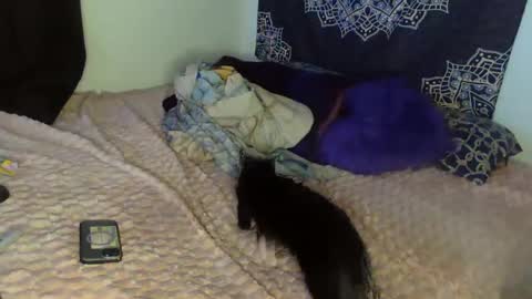 Cline  online show from February 2025 04:47:01 AM