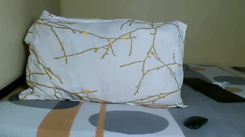 V EE online show from January 2025 09:26:01 AM