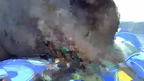 lynn online show from December 2025 04:47:01 PM