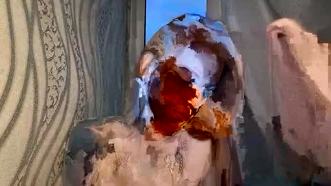 cute_foxis online show from July 2026 08:15:02 PM