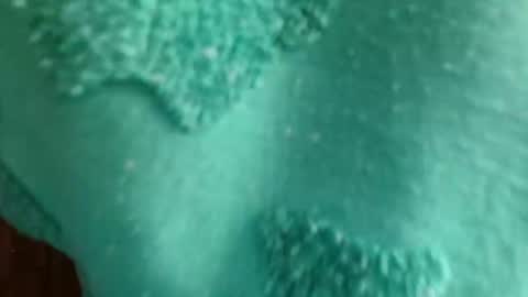 Snapshot of cutebuu chatting on November 2025 08:51:01 PM cutebuu online show from November 2025 08:51:01 PM