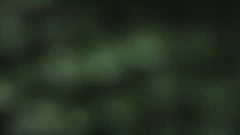 Snapshot of cuteeboy chatting on October 2025 08:09:02 PM cuteeboy online show from October 2025 08:09:02 PM