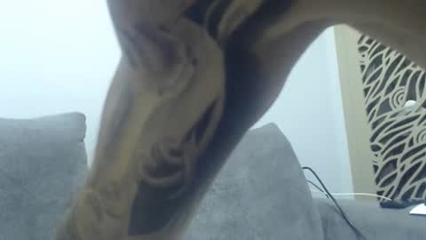 Snapshot of cuteeboy chatting on December 2025 08:37:02 PM cuteeboy online show from December 2025 08:37:02 PM