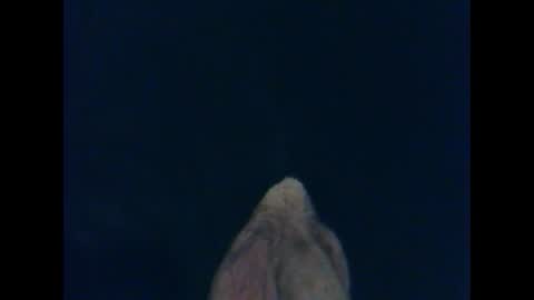 Snapshot of cutieguy86 chatting on October 2025 01:33:02 AM CutieBoy online show from October 2025 01:33:02 AM