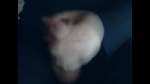 Snapshot of cutieguy86 chatting on October 2025 11:44:01 AM CutieBoy online show from October 2025 11:44:01 AM