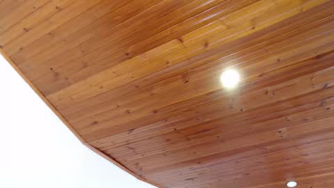 LIZETH online show from March 2025 02:30:02 PM