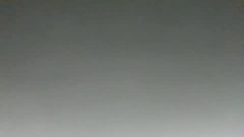 Snapshot of cybercustodian chatting on October 2025 01:04:02 PM cybercustodian online show from October 2025 01:04:02 PM