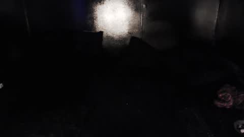 Nikki online show from February 2026 04:36:02 PM