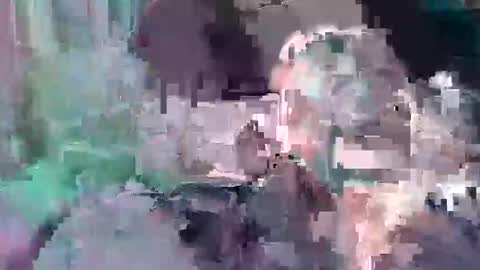 Snapshot of d857813 chatting on January 2025 05:31:02 PM B dickkReallyyFck online show from January 2025 05:31:02 PM