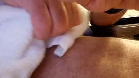 daaavy11 online show from February 2026 02:18:02 AM