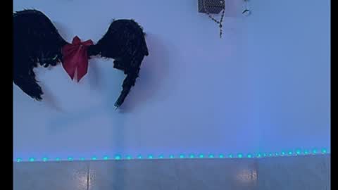 dabria_luxe online show from July 2026 06:59:02 AM