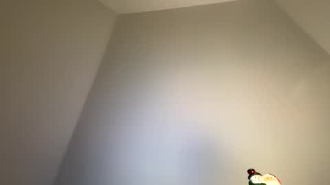 dachdecker7269 online show from February 2026 05:11:01 AM