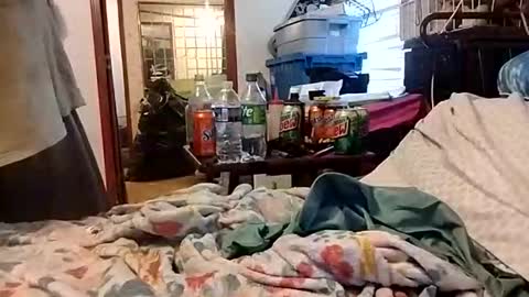 Snapshot of daddyshome4115 chatting on December 2025 09:20:01 PM Daddyshome4115 online show from December 2025 09:20:01 PM