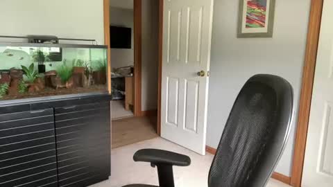 daddyweis online show from June 2026 01:59:01 PM