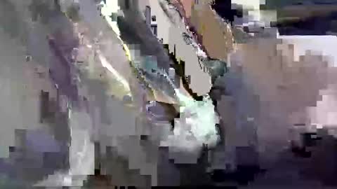 GIANT  Lamar  72 ft  tall  with a  10 inches  BBC   hard quick cumshot in private show lets go online show from March 2026 12:00:02 PM