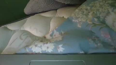 Snapshot of daisnconfusion_ chatting on March 2025 07:10:02 PM daisnconfusion_ online show from March 2025 07:10:02 PM